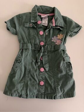Little Lass Green Dress with Pink Buttons and Floral Embroidery
